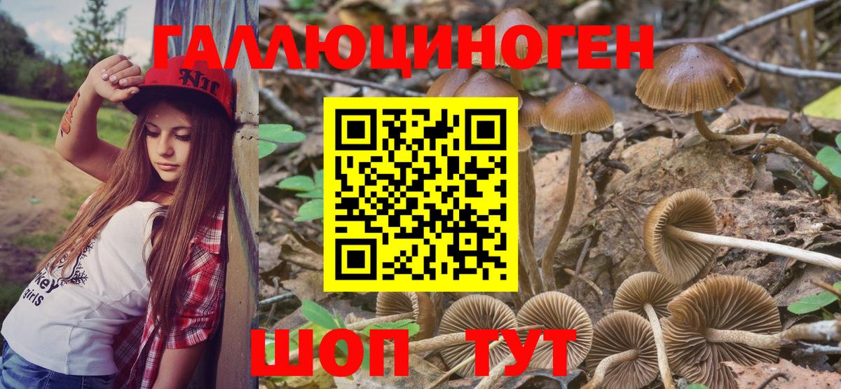 Галлюциногенные грибы Magic Shrooms  Вход с VPN  Новочебоксарск 